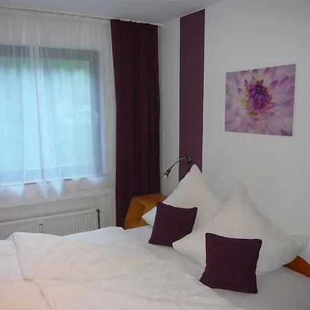 Apartment Ferienwohnung Rinn *